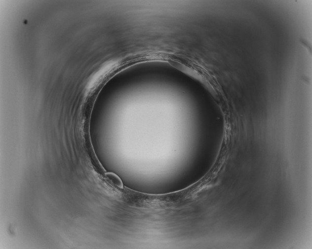 X0000100400197200806131021