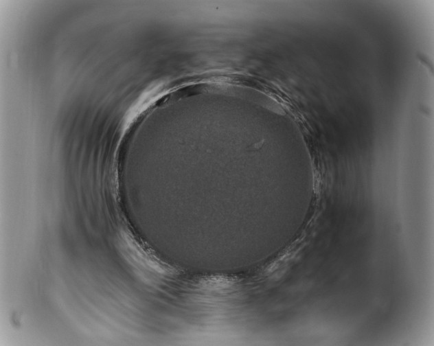 X0000100400198200806131021