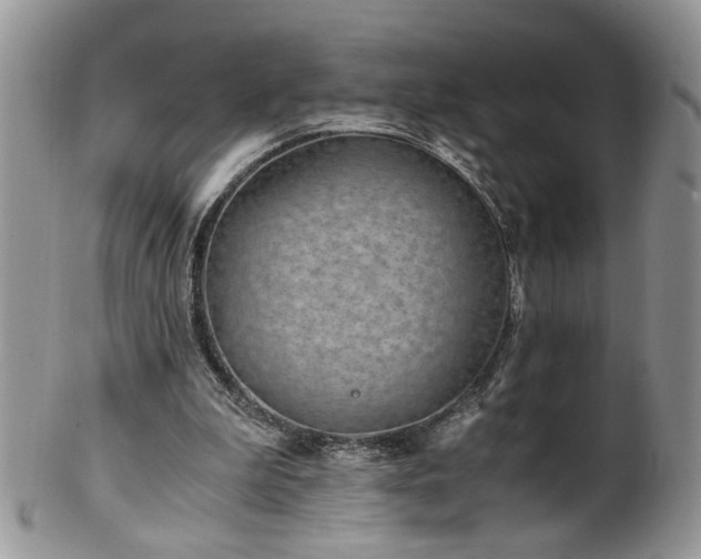 X0000100400199200806131021