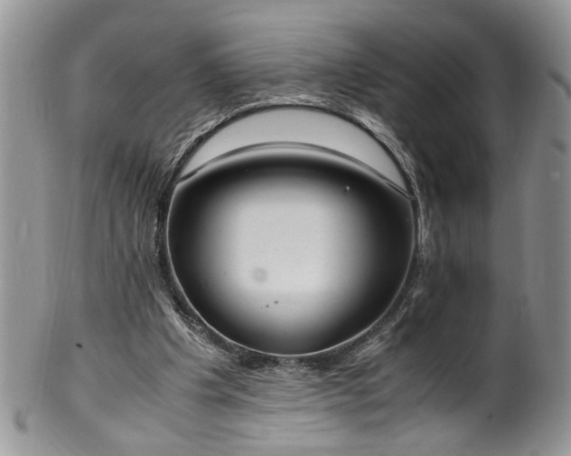 X0000100400201200806131021