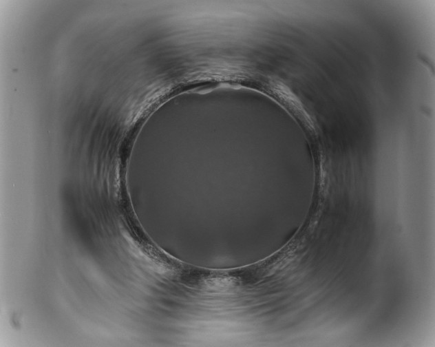 X0000100400202200806131021