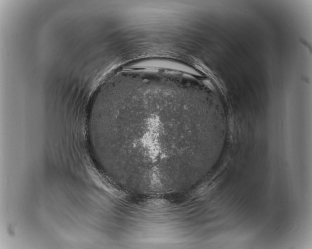X0000100400203200806131021