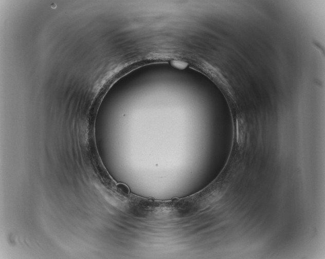 X0000100400204200806131021
