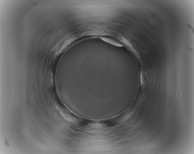 X0000100400205200806131021