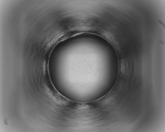 X0000100400206200806131021