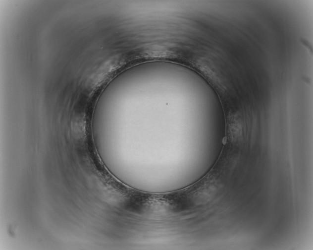 X0000100400207200806131021