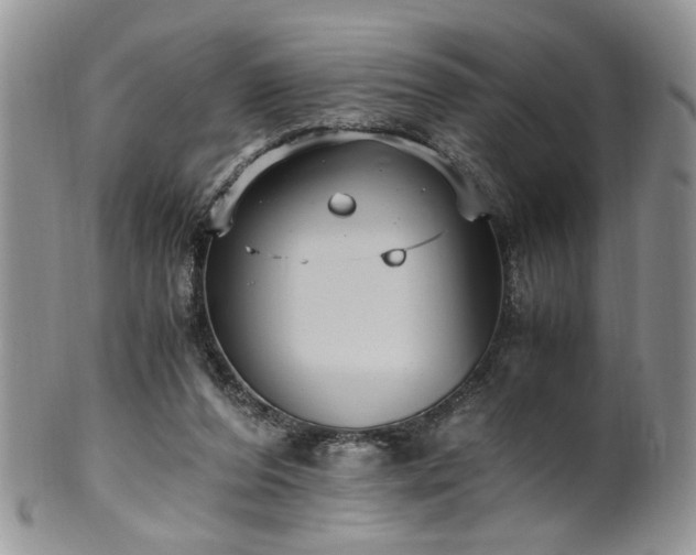 X0000100400208200806131021