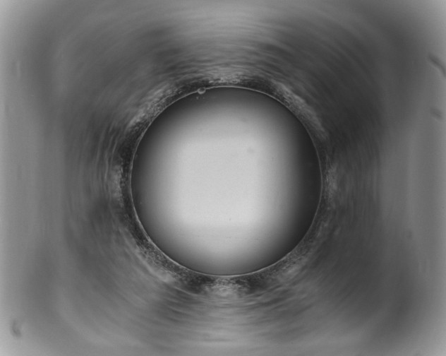 X0000100400209200806131021