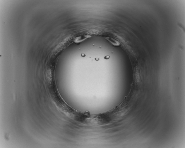 X0000100400211200806131021
