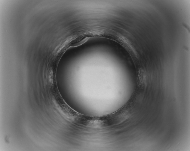 X0000100400212200806131021
