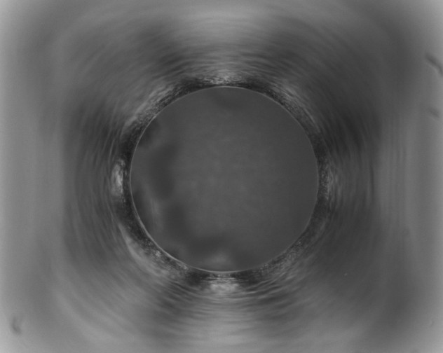 X0000100400214200806131021