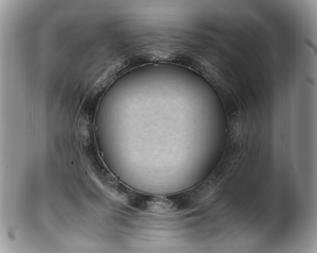 X0000100400215200806131021
