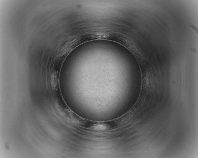 X0000100400218200806131020