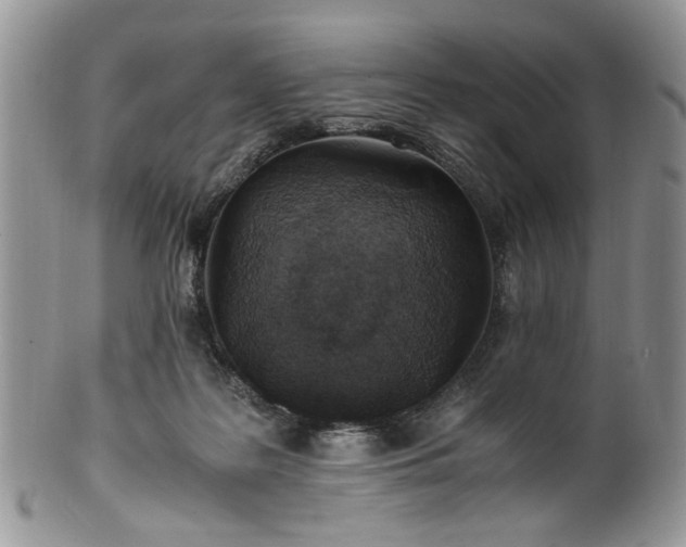 X0000100400219200806131020