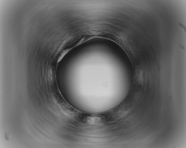 X0000100400220200806131020