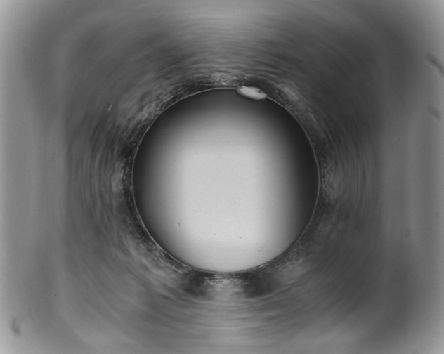 X0000100400221200806131020