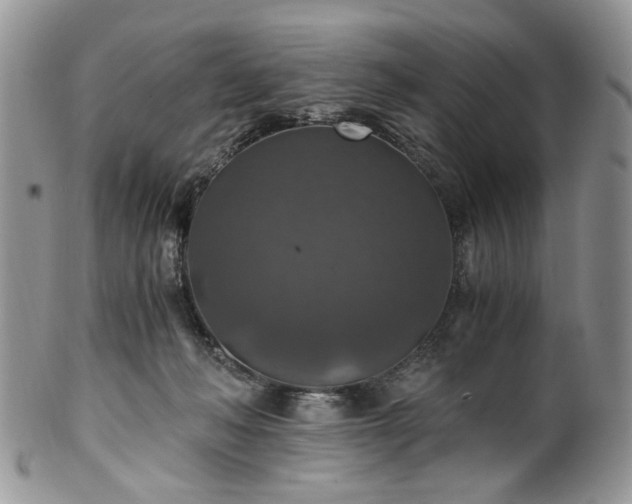 X0000100400222200806131020