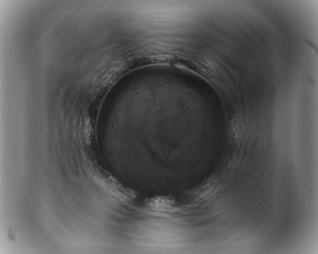 X0000100400223200806131020