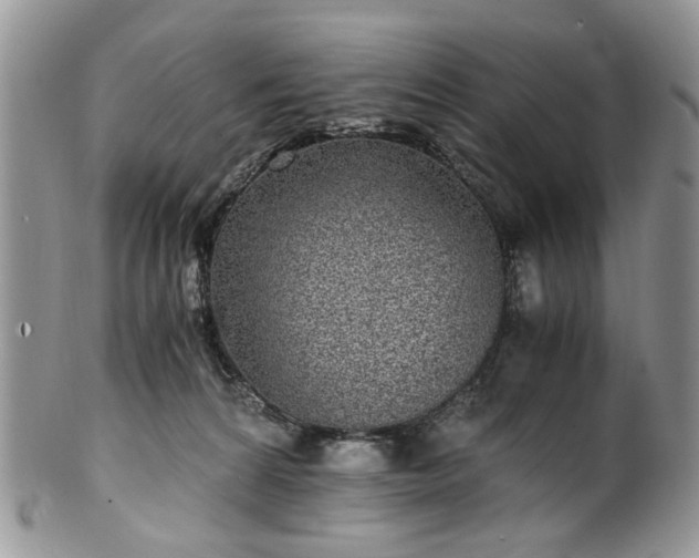 X0000100400224200806131020