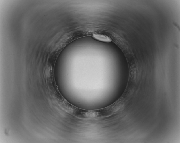 X0000100400225200806131020
