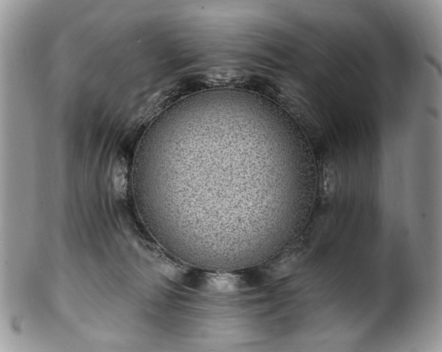 X0000100400226200806131020