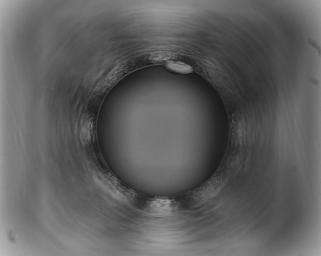X0000100400227200806131020
