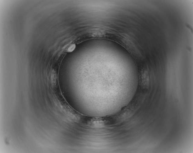 X0000100400228200806131020