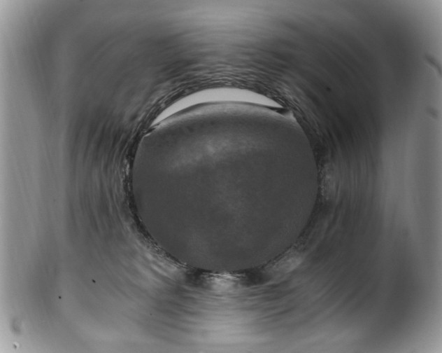 X0000100400229200806131020