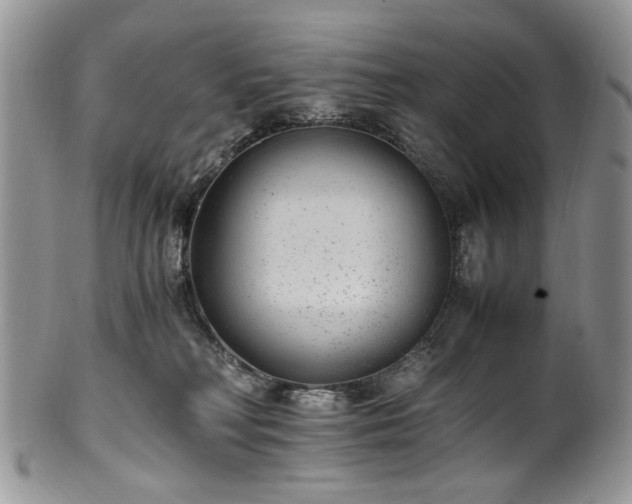 X0000100400230200806131020