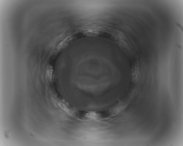X0000100400231200806131020