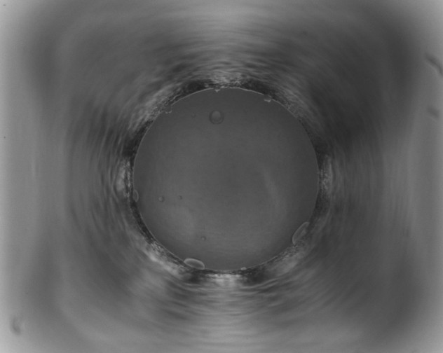 X0000100400233200806131020
