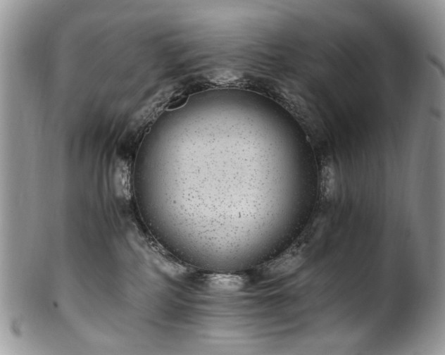 X0000100400234200806131020