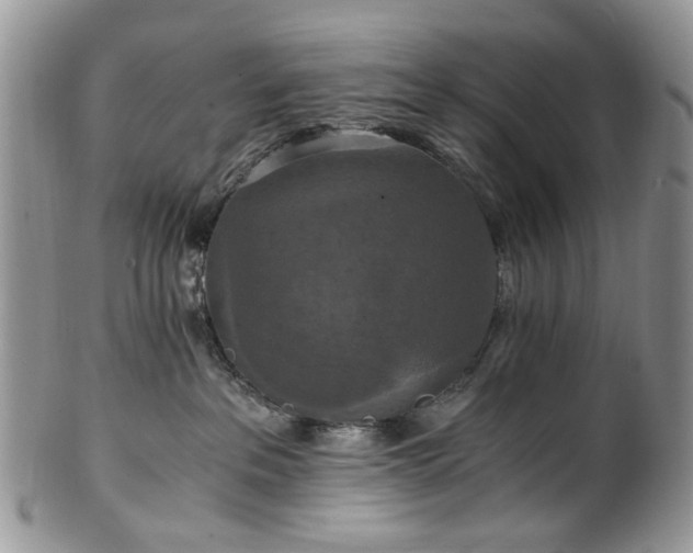 X0000100400237200806131020