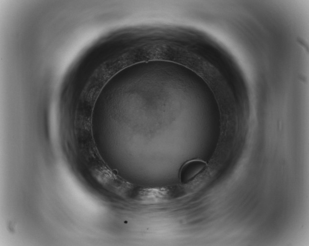 X0000100400239200806131020