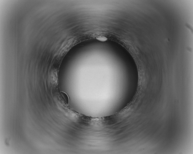 X0000100400240200806131020