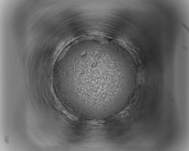 X0000100400241200806131020