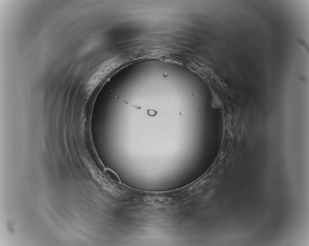 X0000100400242200806131020