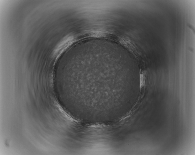 X0000100400243200806131020