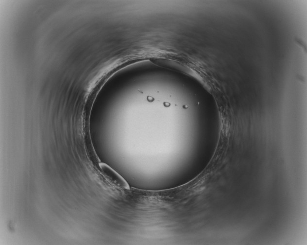 X0000100400244200806131020
