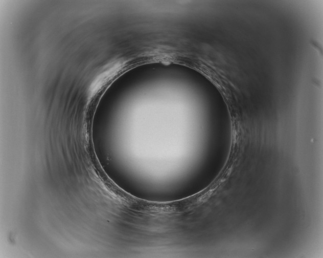 X0000100400245200806131020