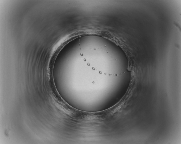 X0000100400246200806131020
