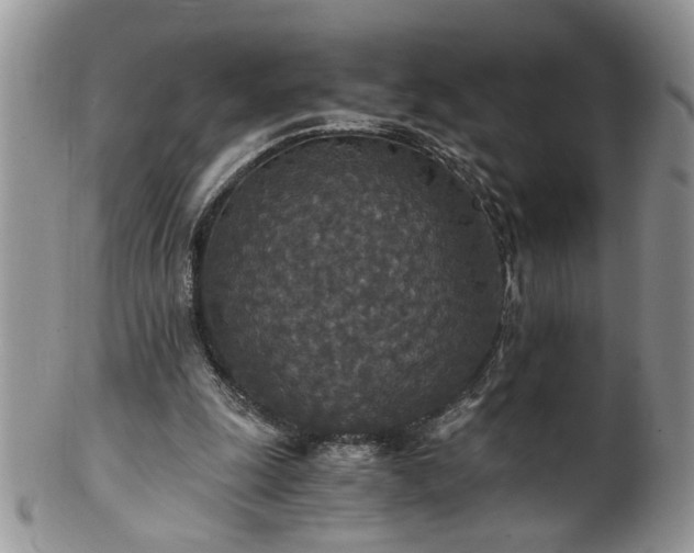 X0000100400247200806131020