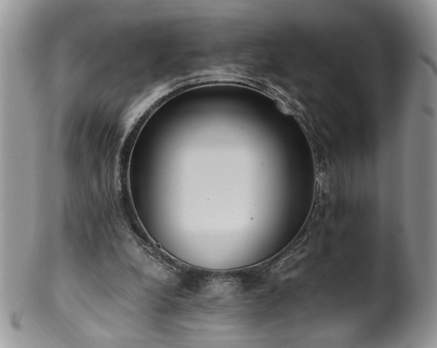 X0000100400248200806131020