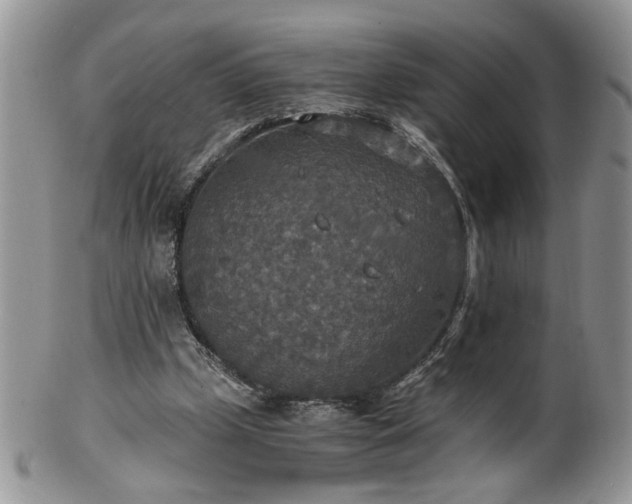 X0000100400249200806131020