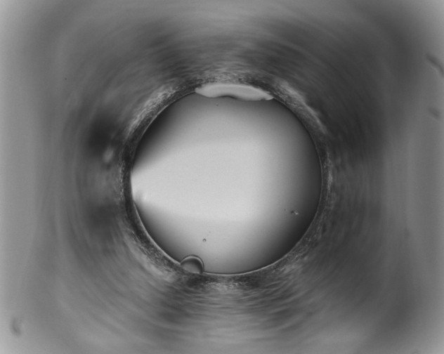 X0000100400250200806131020