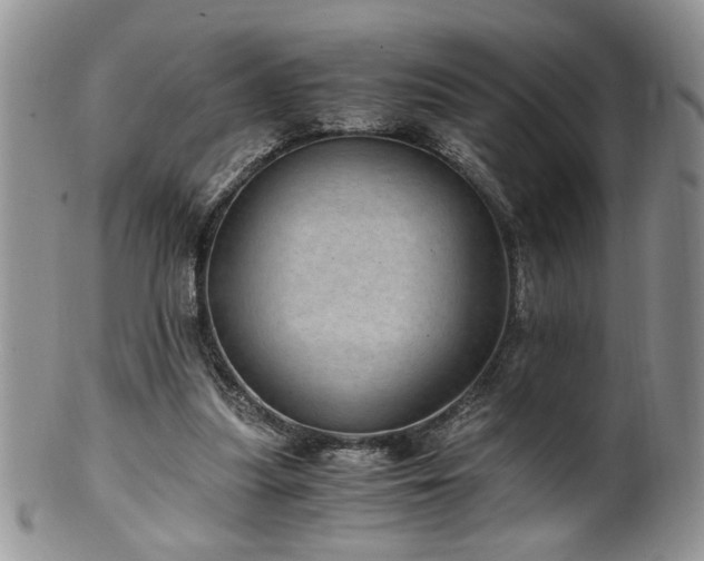 X0000100400251200806131020
