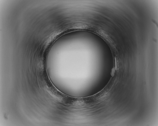 X0000100400252200806131020