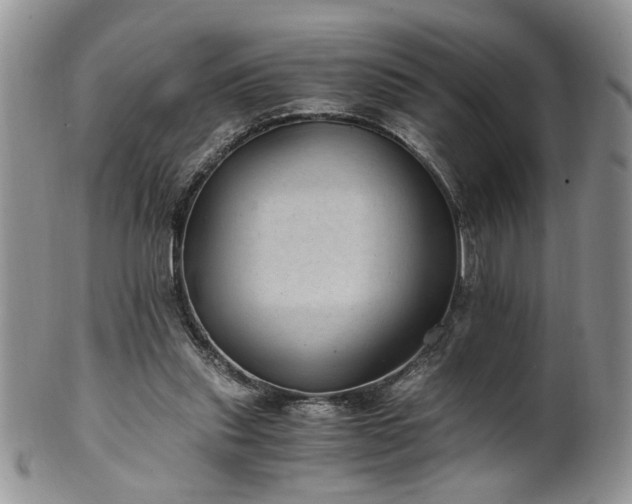 X0000100400253200806131020