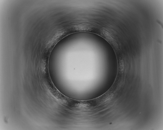X0000100400255200806131020