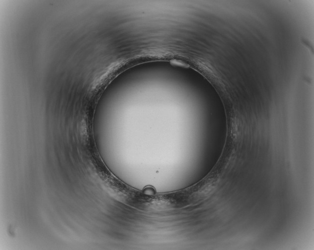 X0000100400256200806131020
